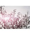 Cambio de plantilla prestashop